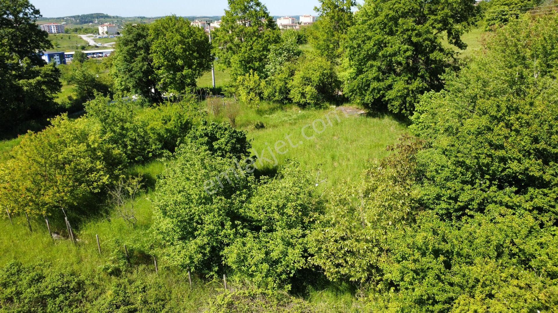 Fırsatlık 719 M2 Satılık Arsa Korucuk Mahallesi