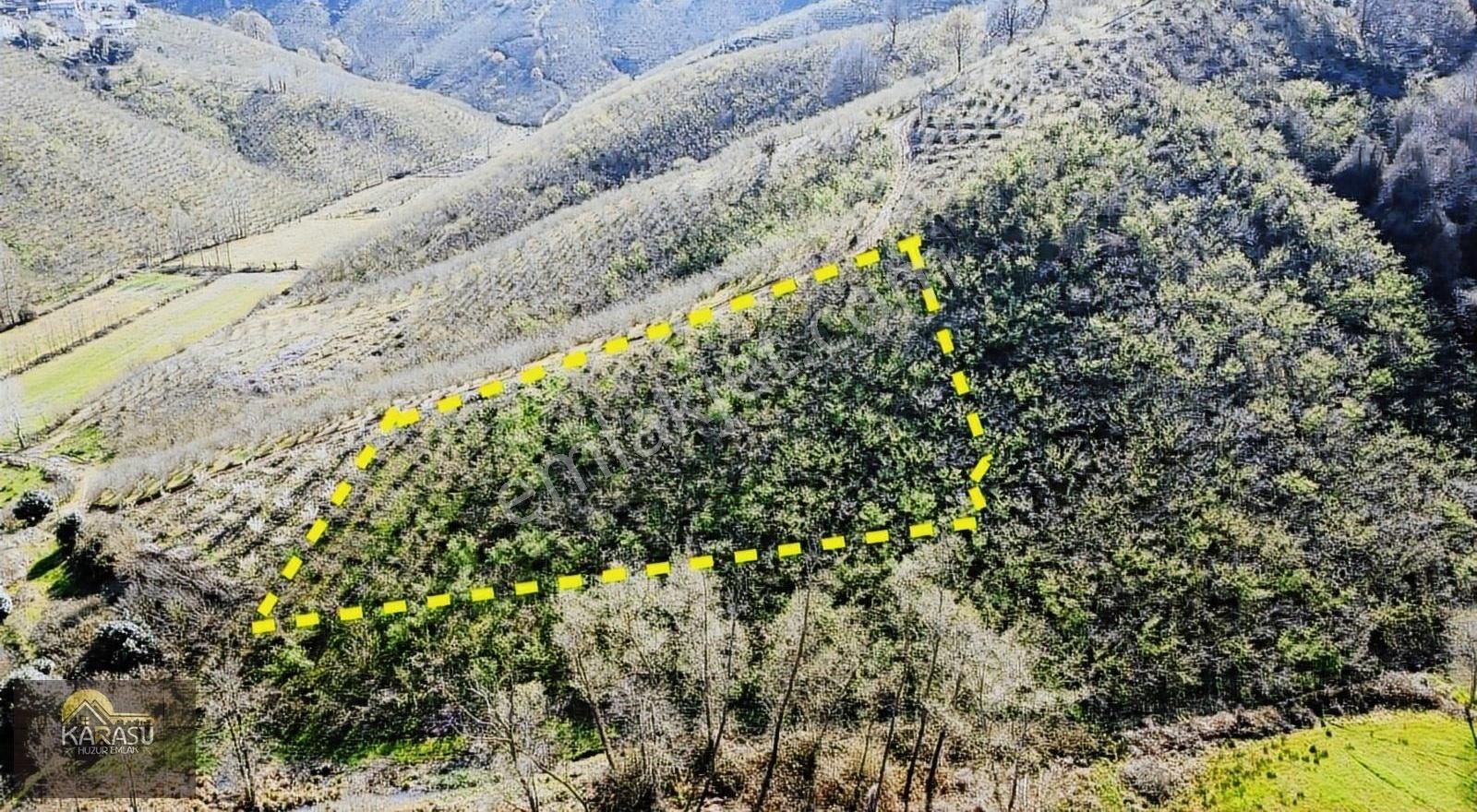 Karasu Huzur Emlaktan Satılık Fındık Bahçesi