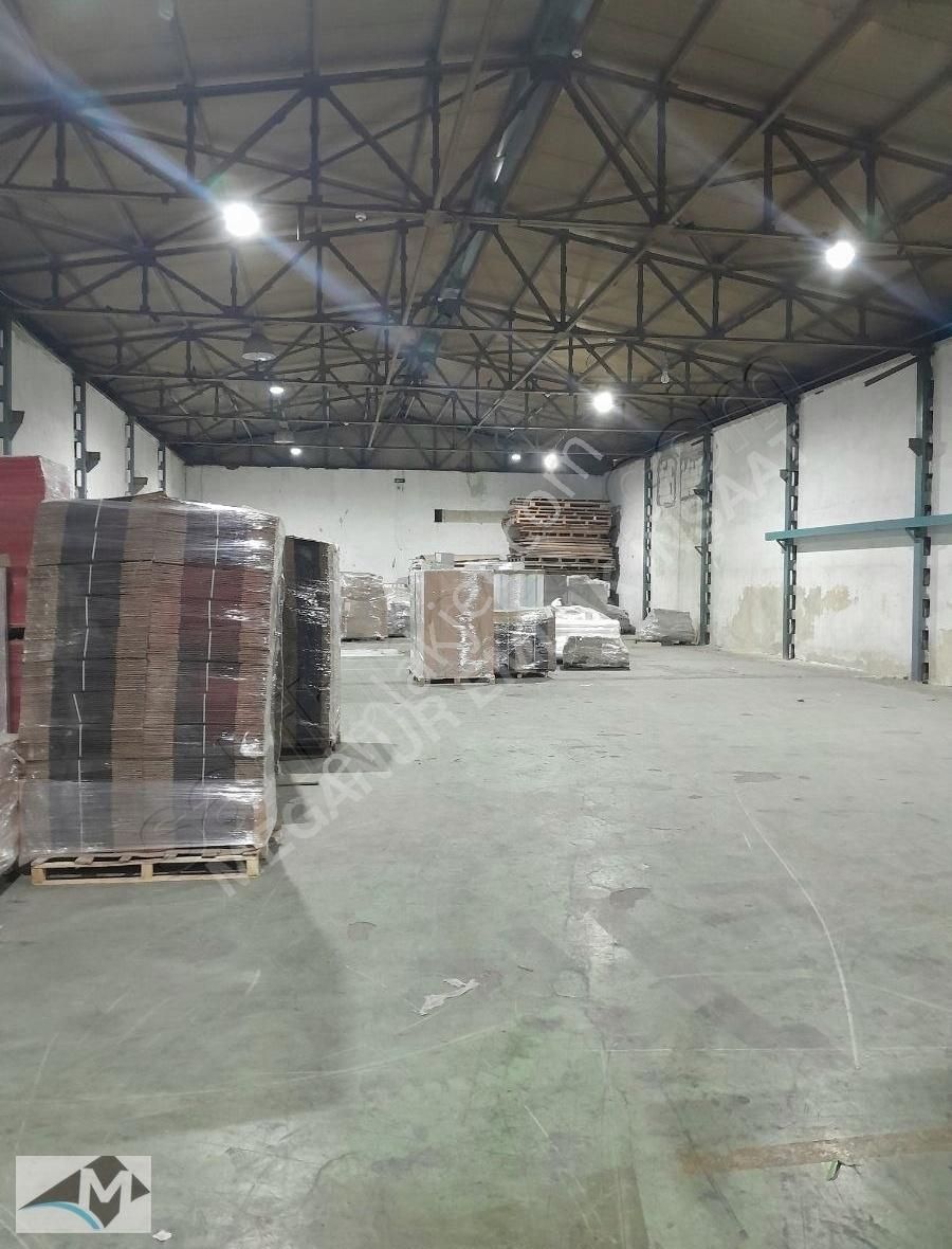 İkitelli Organizeye Çok Yakın Halkalıda Düz Giriş 2.200 M2 Depo - Görsel 2
