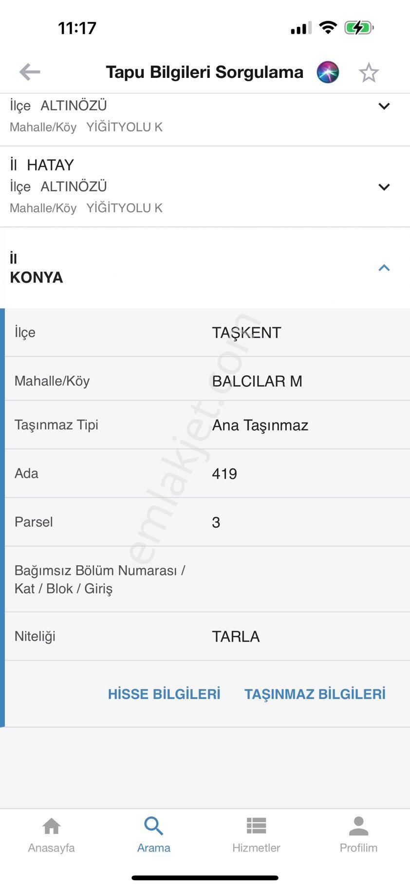 Kiraz Ve Ceviz Bahçesi