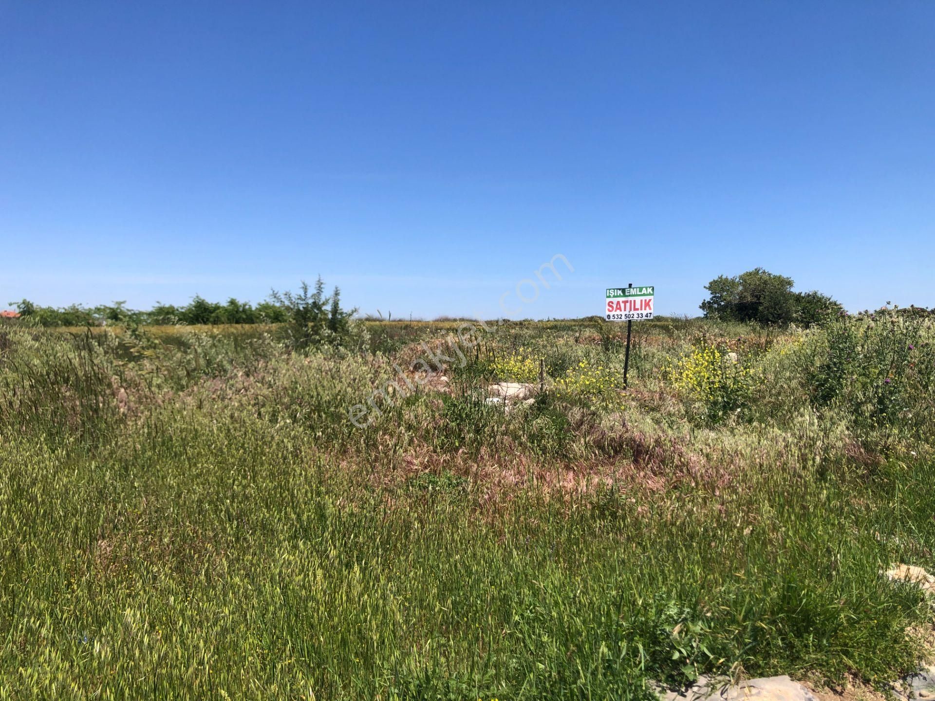 Şarköy De Işık Emlaktan Kızılcaterzi Mah De 267 M2 0/20 İmarlı Arsa - Görsel 8