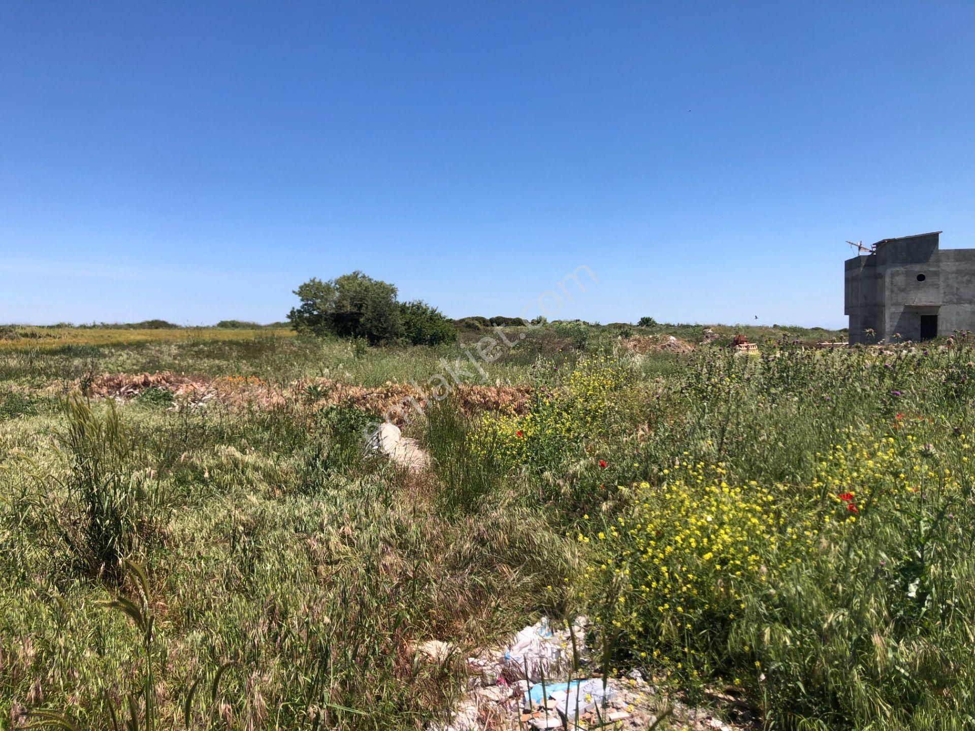 Şarköy De Işık Emlaktan Kızılcaterzi Mah De 267 M2 0/20 İmarlı Arsa - Görsel 7