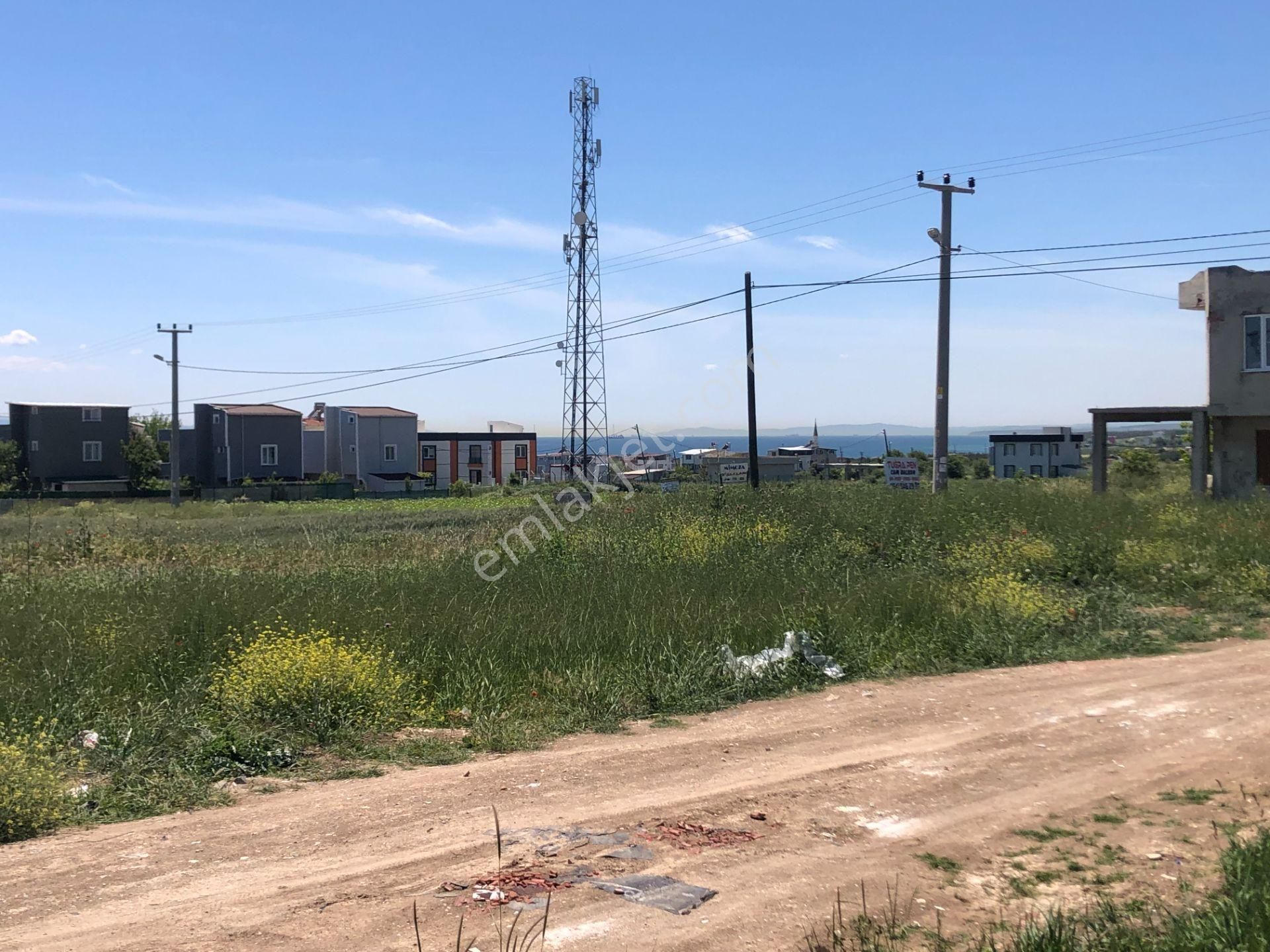 Şarköy De Işık Emlaktan Kızılcaterzi Mah De 267 M2 0/20 İmarlı Arsa - Görsel 9