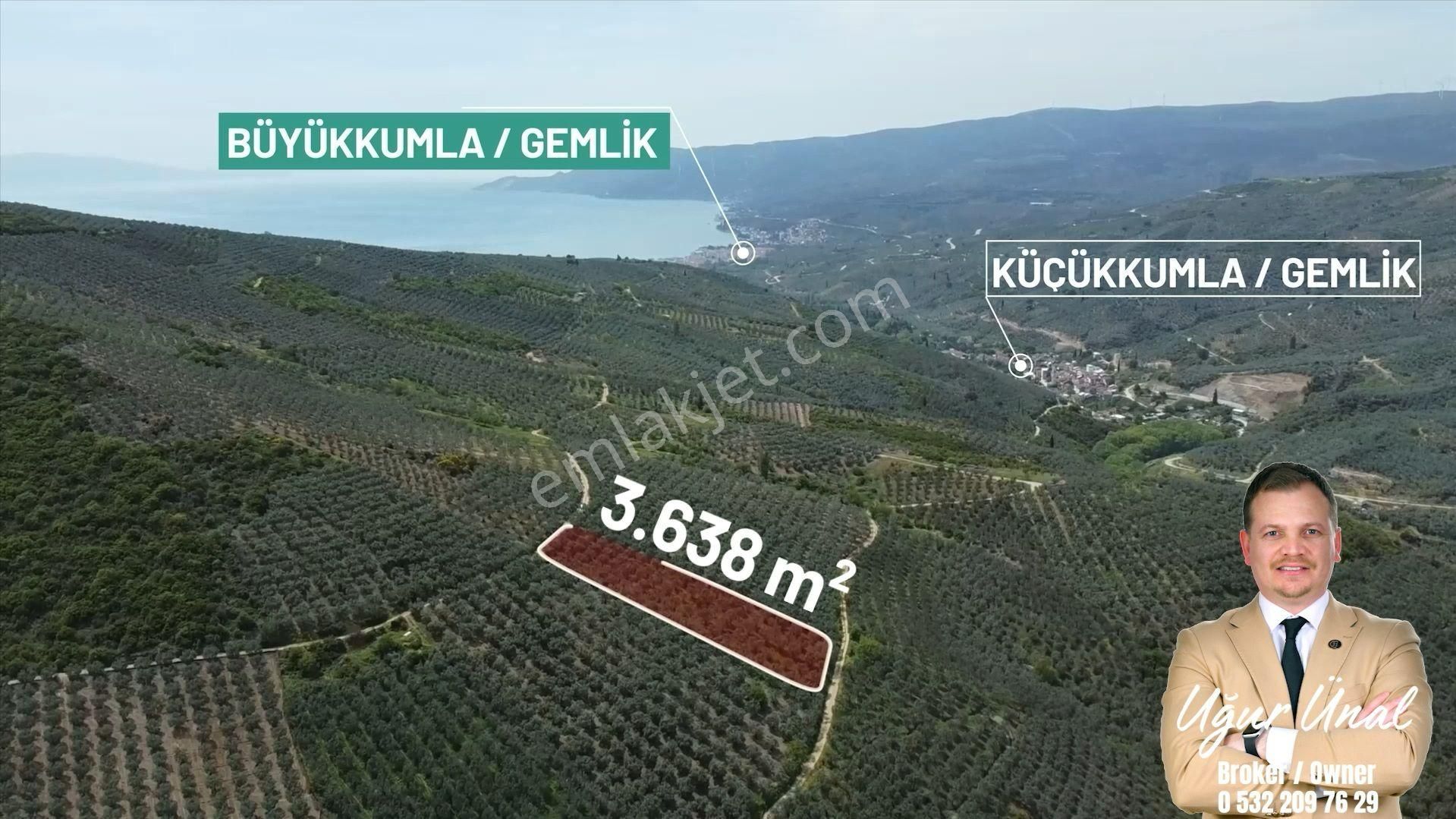 C21 Cius; Çift Resmi Yola Cephe 3.638m2 Doğayla İç İçe Zeytinlik