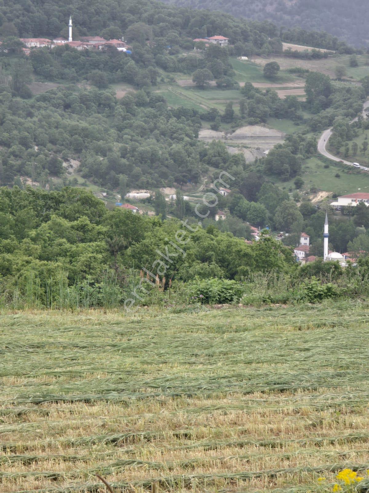 ▀▄artı'dan Sındırgı Kınık'ta Çift Kadastro Yollu Satılık 8957 M2 Tarla ▀▄ - Görsel 4