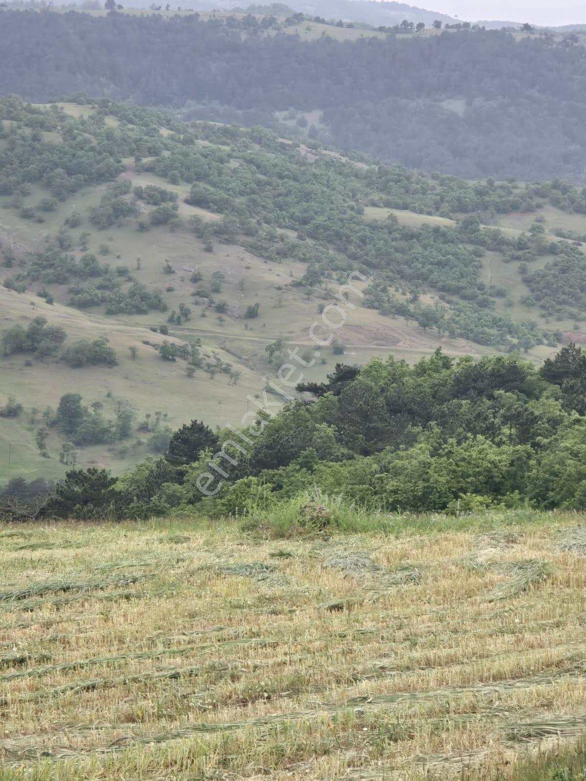 ▀▄artı'dan Sındırgı Kınık'ta Çift Kadastro Yollu Satılık 8957 M2 Tarla ▀▄ - Görsel 3