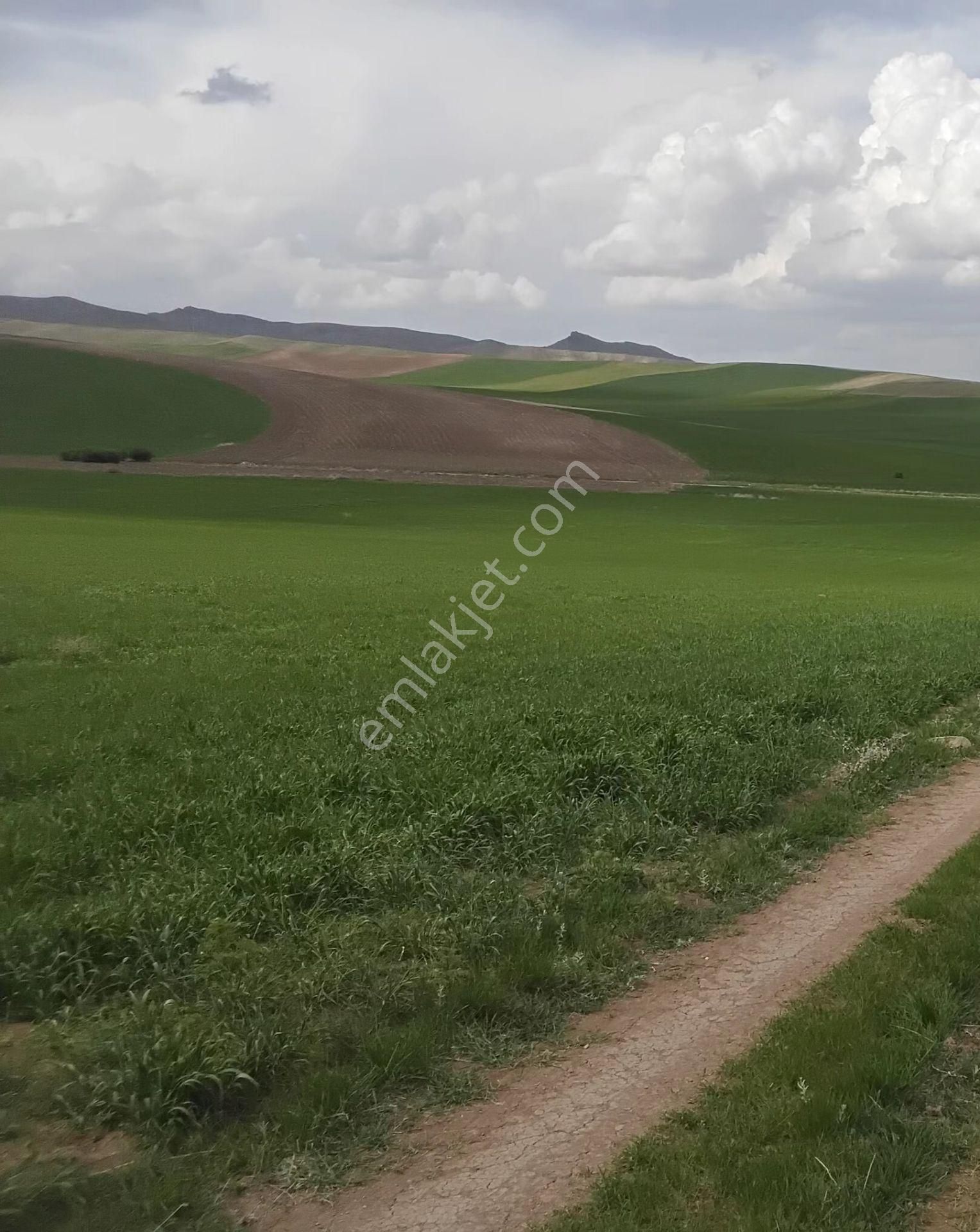 Sahibinden Komisyonsuz Temelli Bacı'da Acıll Değerinin Altında