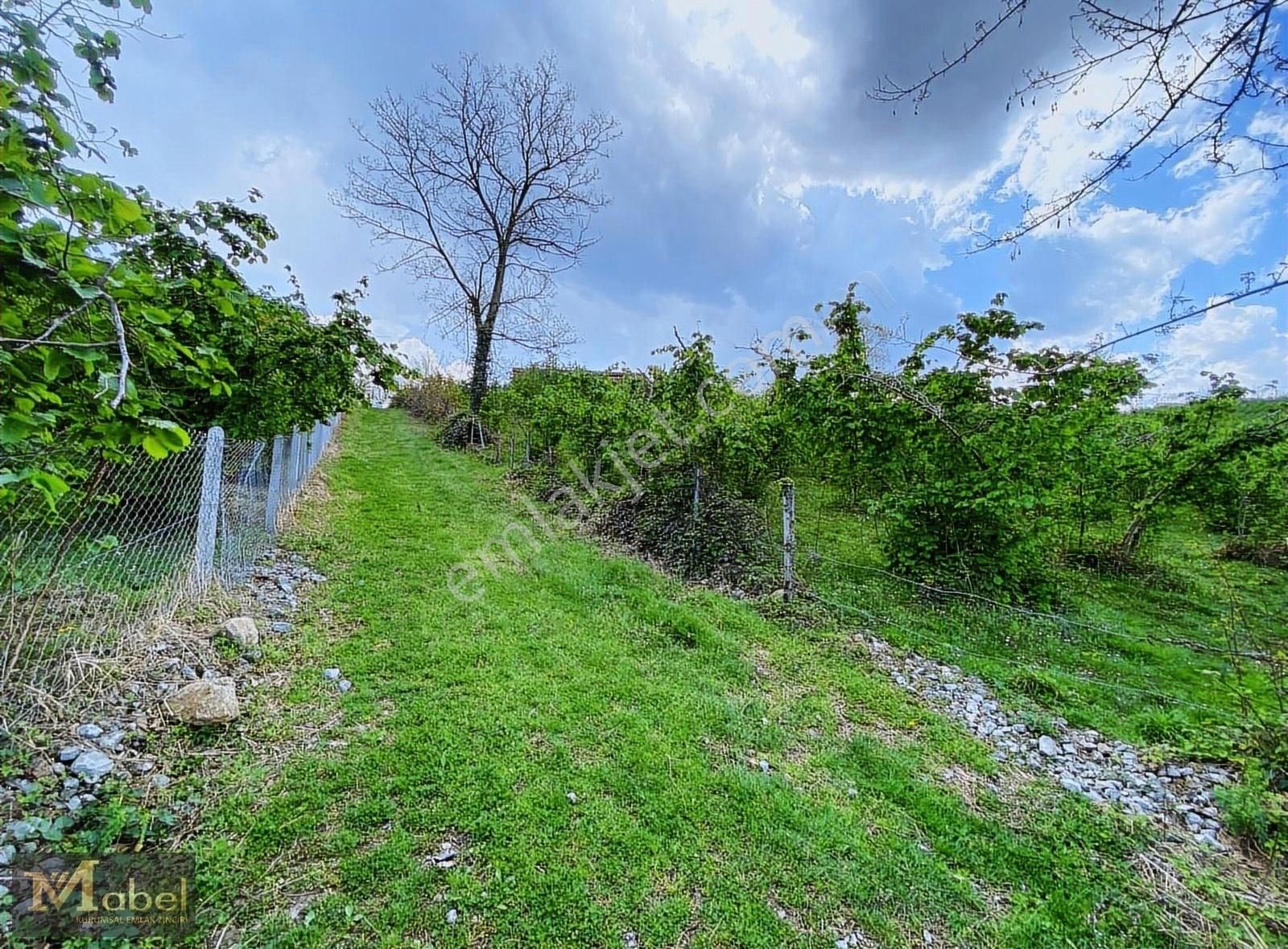 Mabel Gayrimenkul- Burhanettin Mh.- 12.000 M2 Satılık Arsa