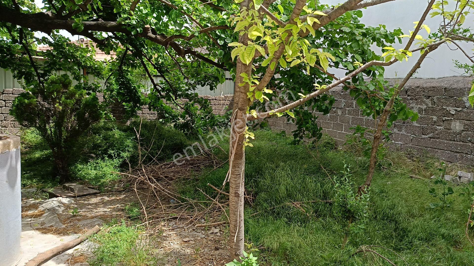 Yasin Emlak Tan Manisa Akhisar Zeytinliovada 305 M2 Ev Arsa - Görsel 8