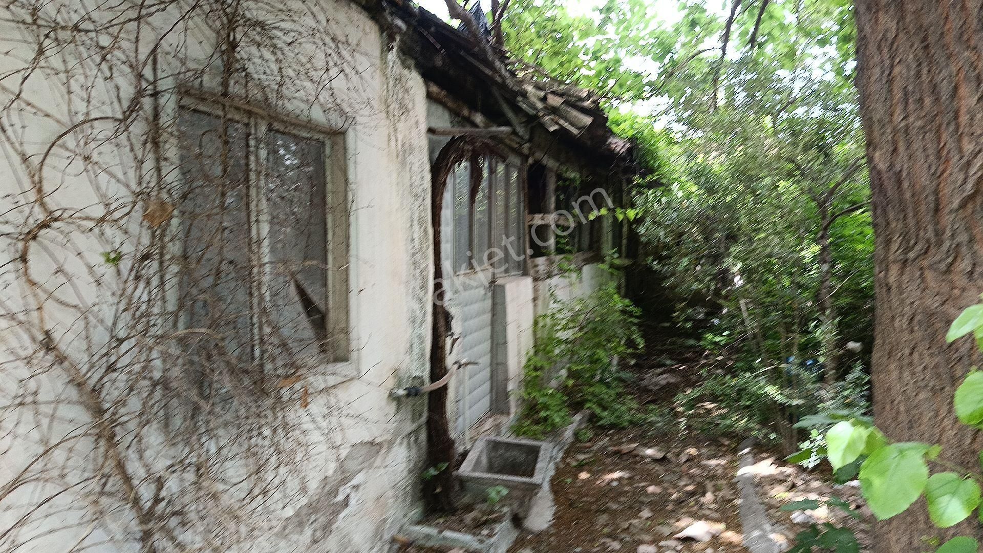 Yasin Emlak Tan Manisa Akhisar Zeytinliovada 305 M2 Ev Arsa - Görsel 2