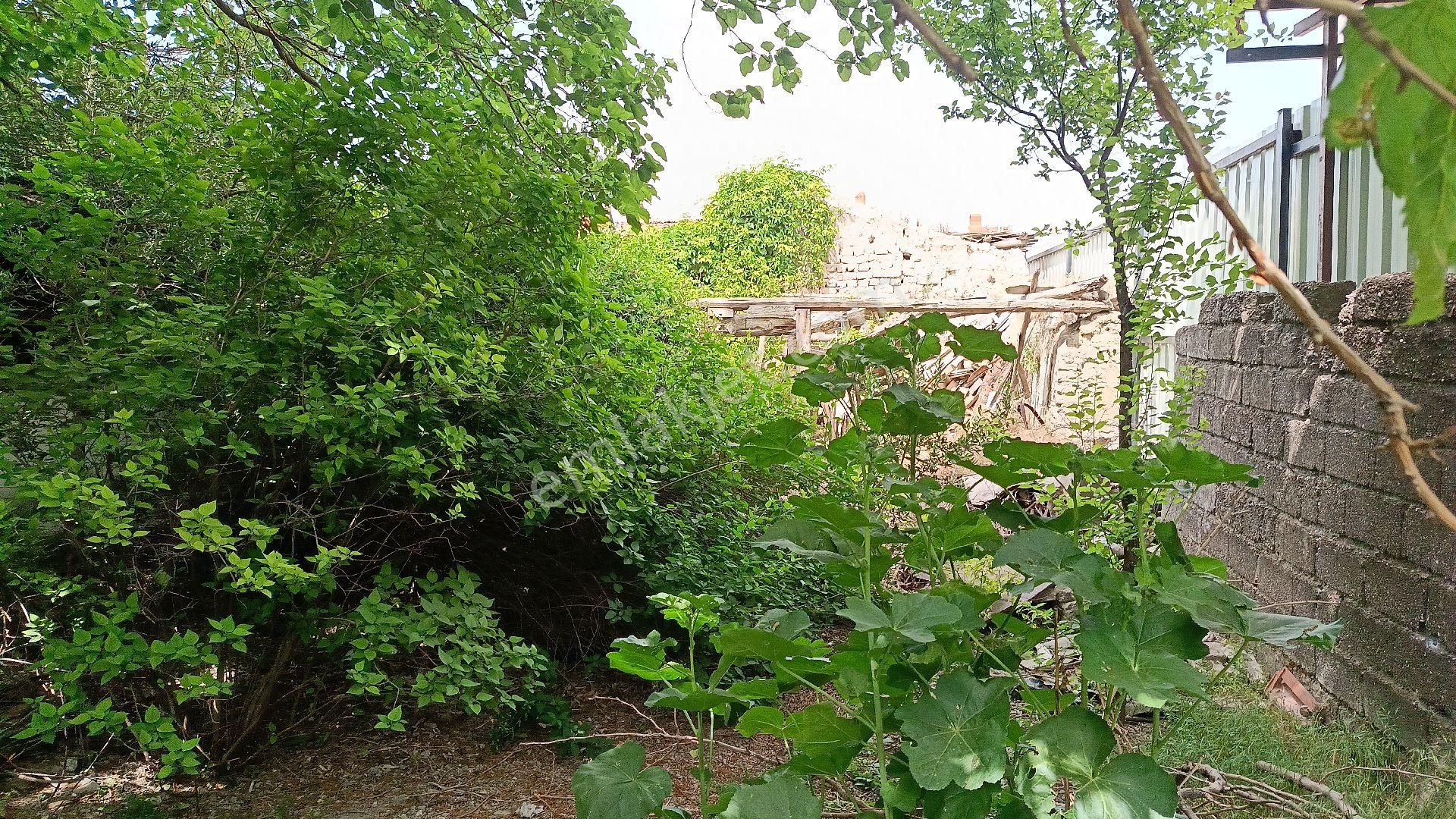 Yasin Emlak Tan Manisa Akhisar Zeytinliovada 305 M2 Ev Arsa - Görsel 5