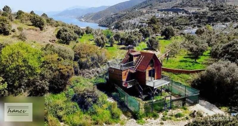 Altıntaş Fırsat Bağ Evi Bahçe