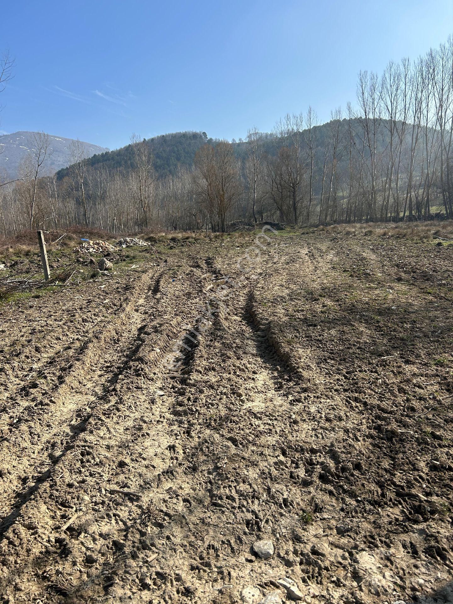 Sansarak Mahallesinde Köye Yakın Yolu Suyu Olan 560 M2 Satılık Arazi
