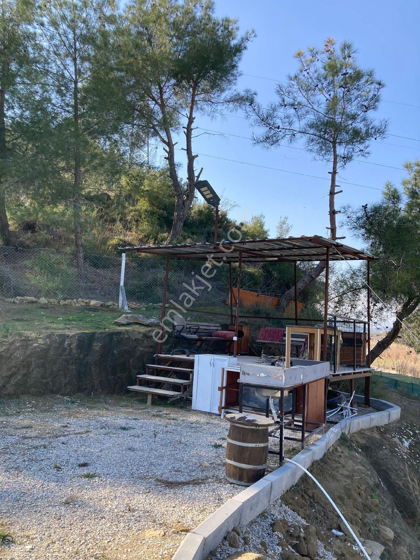 Salbasta Kelepir Honi Bahcesi