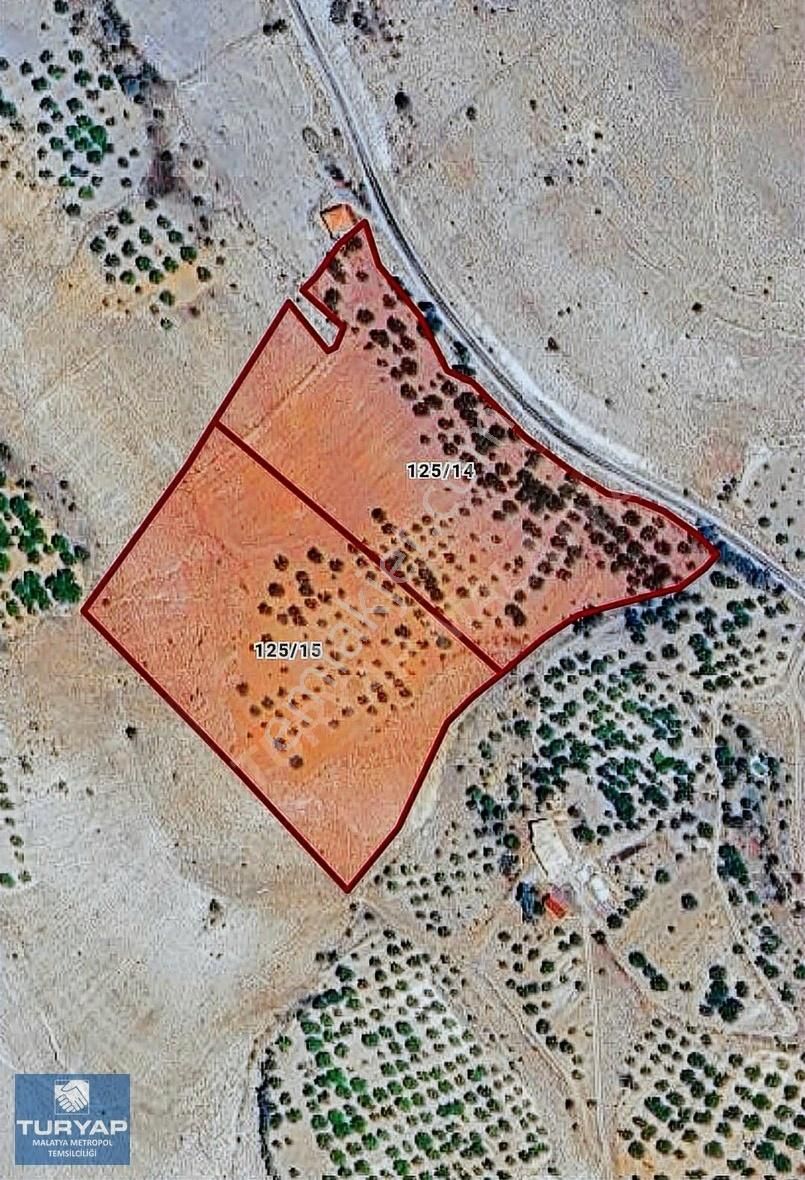 Turyap Metropol'den Hekimhan Kurşunlu Mahallesinde Satılık Arsa