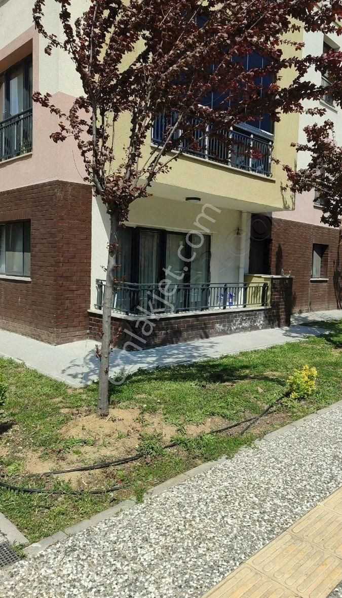 Rota Emlak Ve İnşaat Satılık Oturuma Hazır Daire 2+1 - Görsel 8