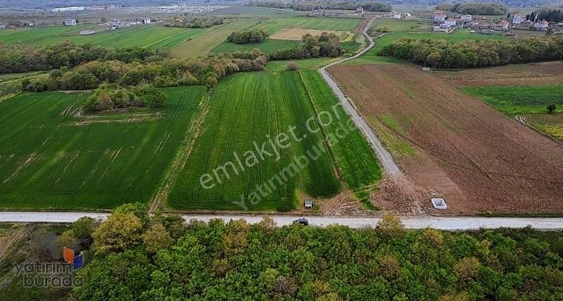 Bafrada Muhteşem Fırsat İmar Sırınırında Satılık Arazi Fırsatı