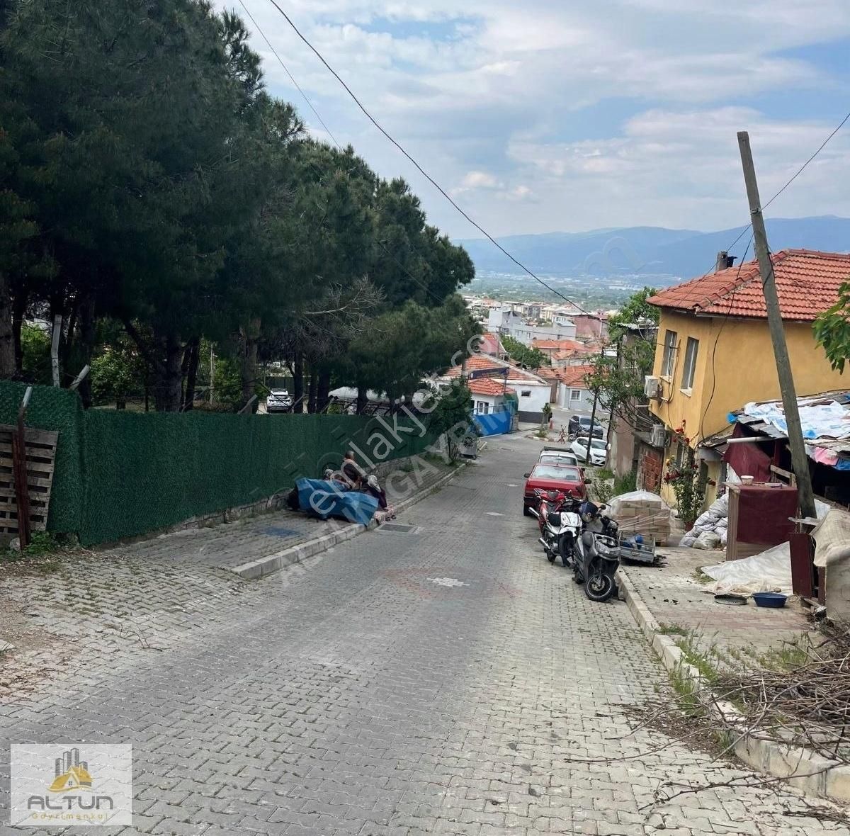 Kemalpaşa Armutlu Hürriyet Mahallesinde De Satılık Zeytinlik