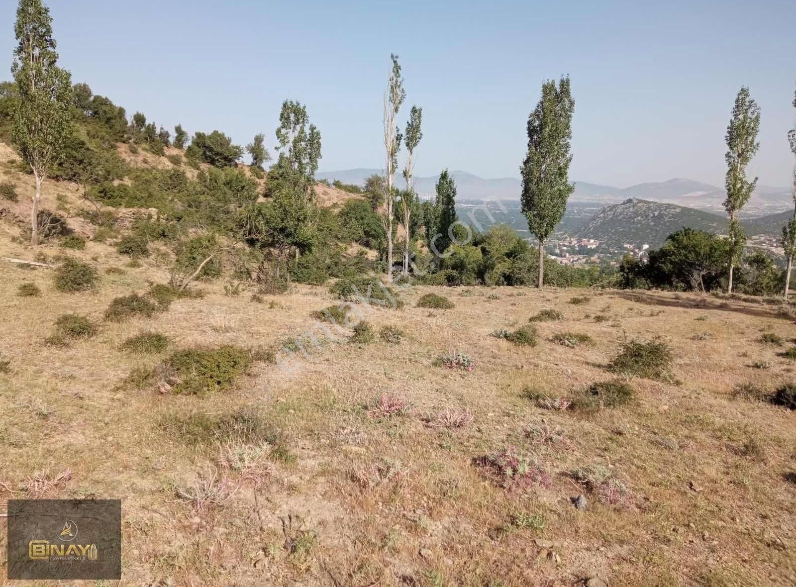 Sav Kasabasında Takasa Açık Tek Tapu Satılık 4680m2 Tarla