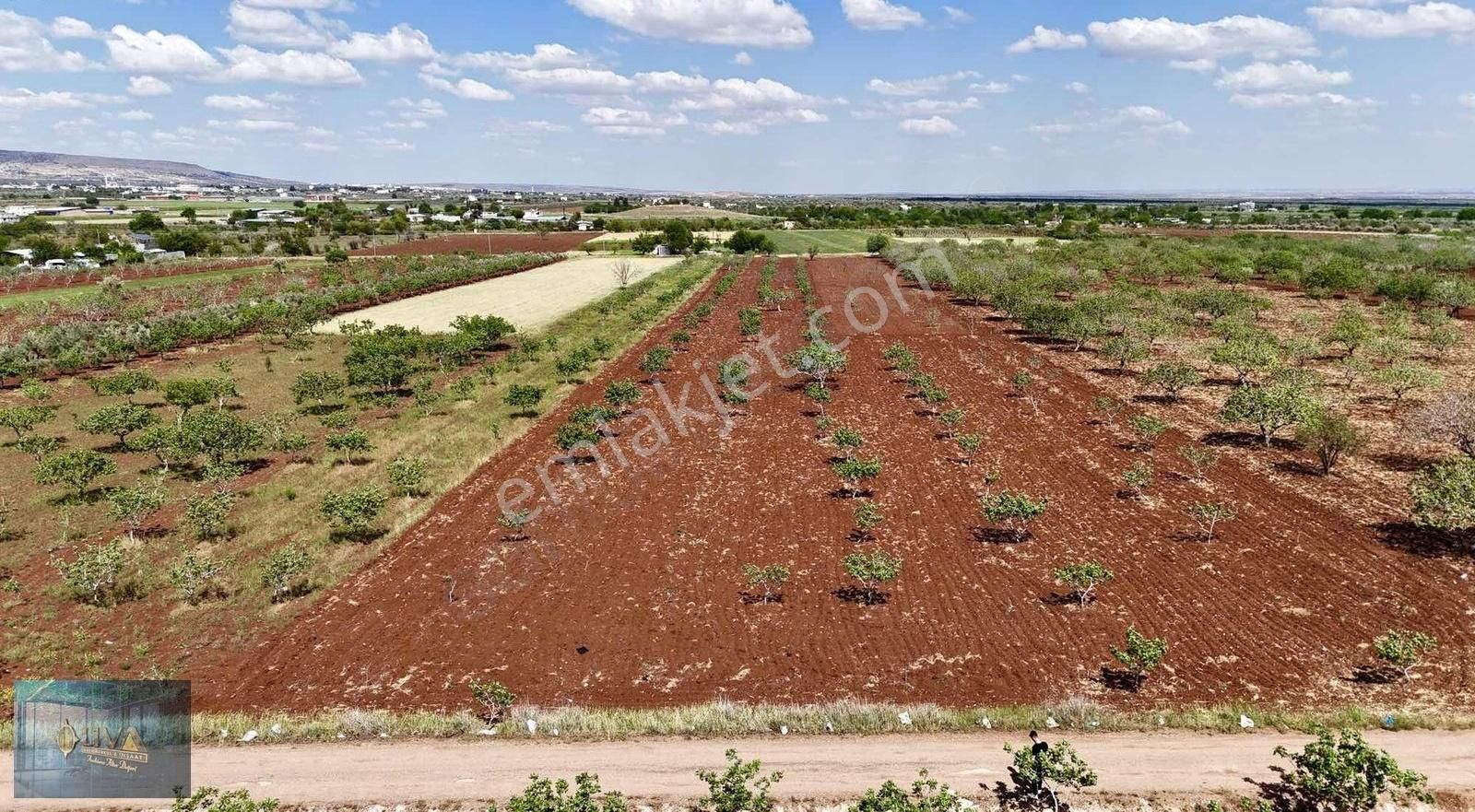 Kilis Liva Gayrimenkul'den Yavuz Sultan Selimde Satılık Fıstık