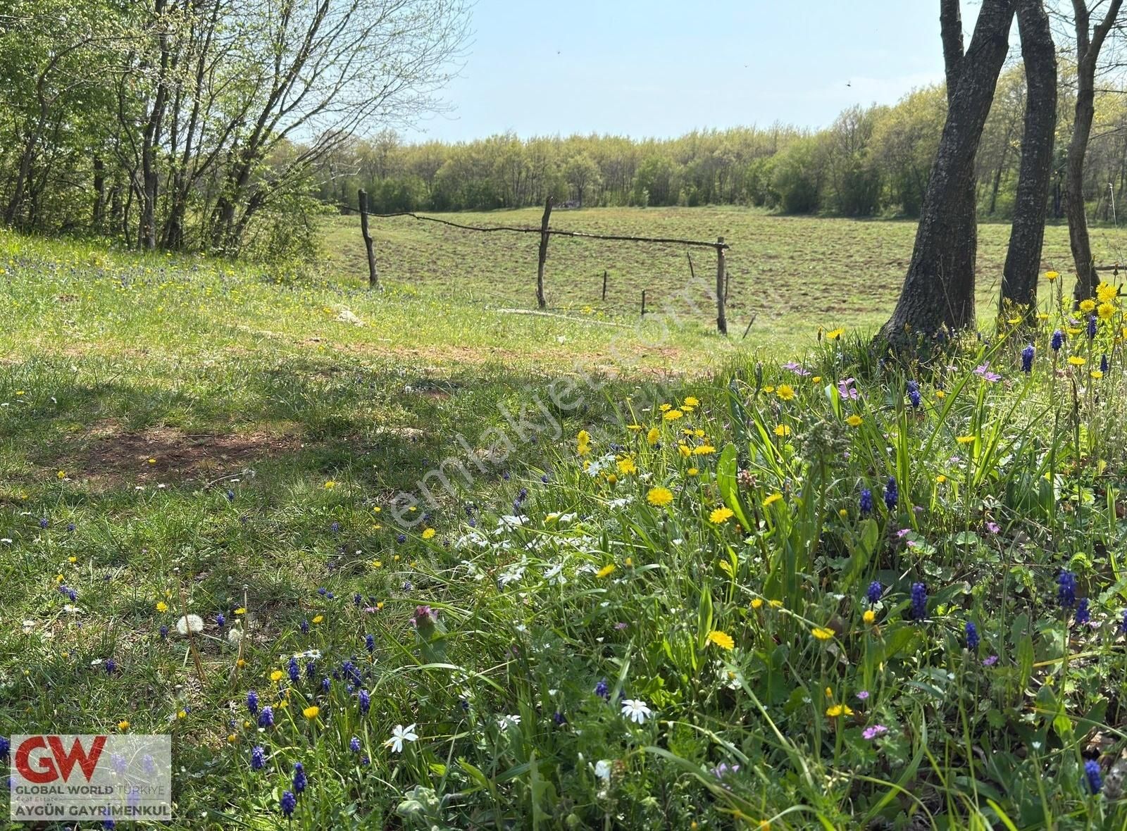 Kırklareli Vize Akpınar'da 4 Tarafı Orman 31 Dönüm Satılık Tarla