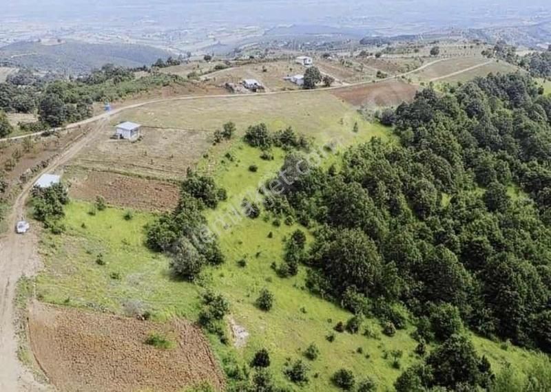 Yenişehir Süleymaniye'de Eşsiz Manzara