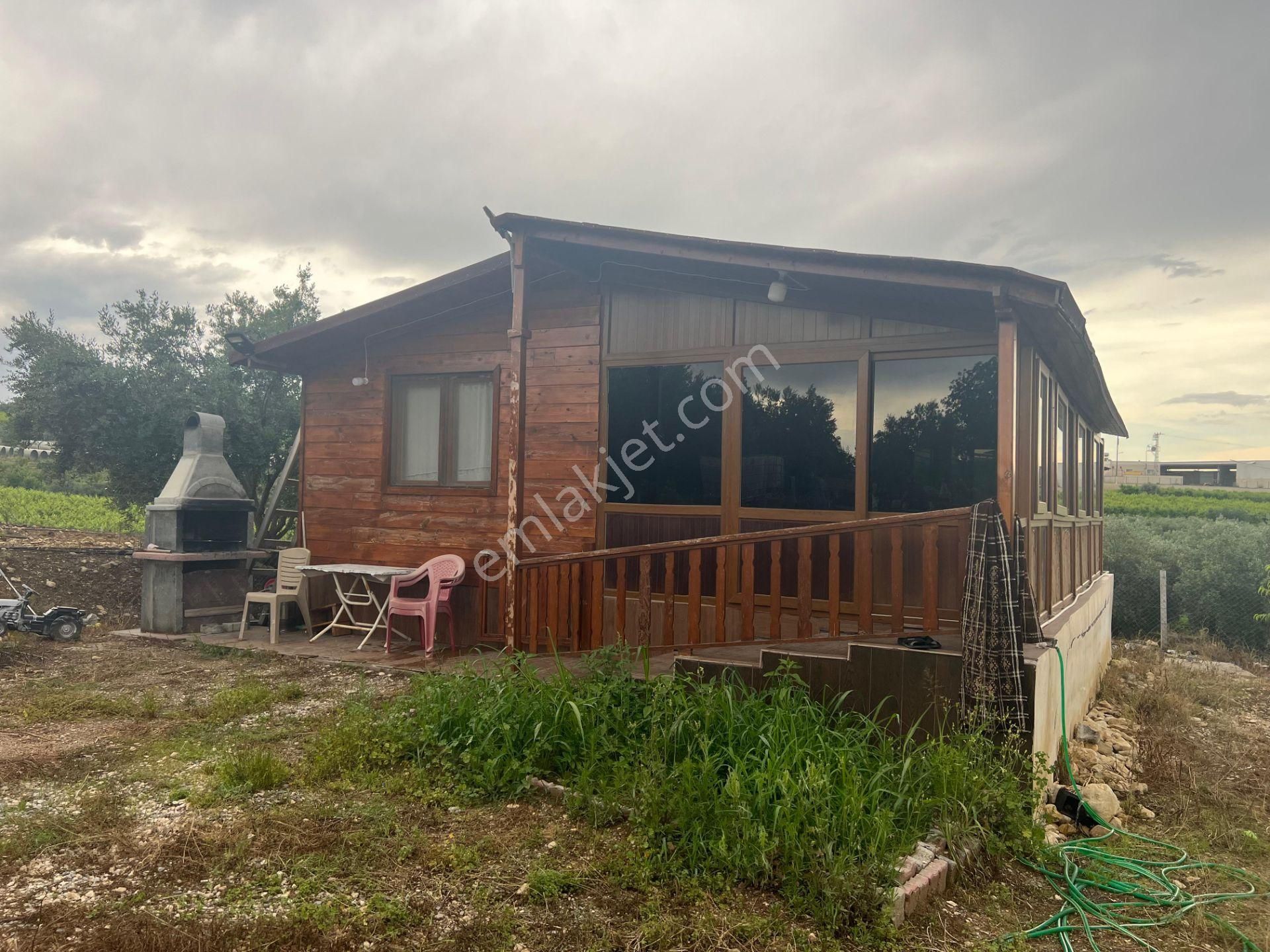 Tarsus Ck Emlak'tan Tepeköy Mah. Satılık 2+1 Bağ Evi Ve Şeftali Bahçesi