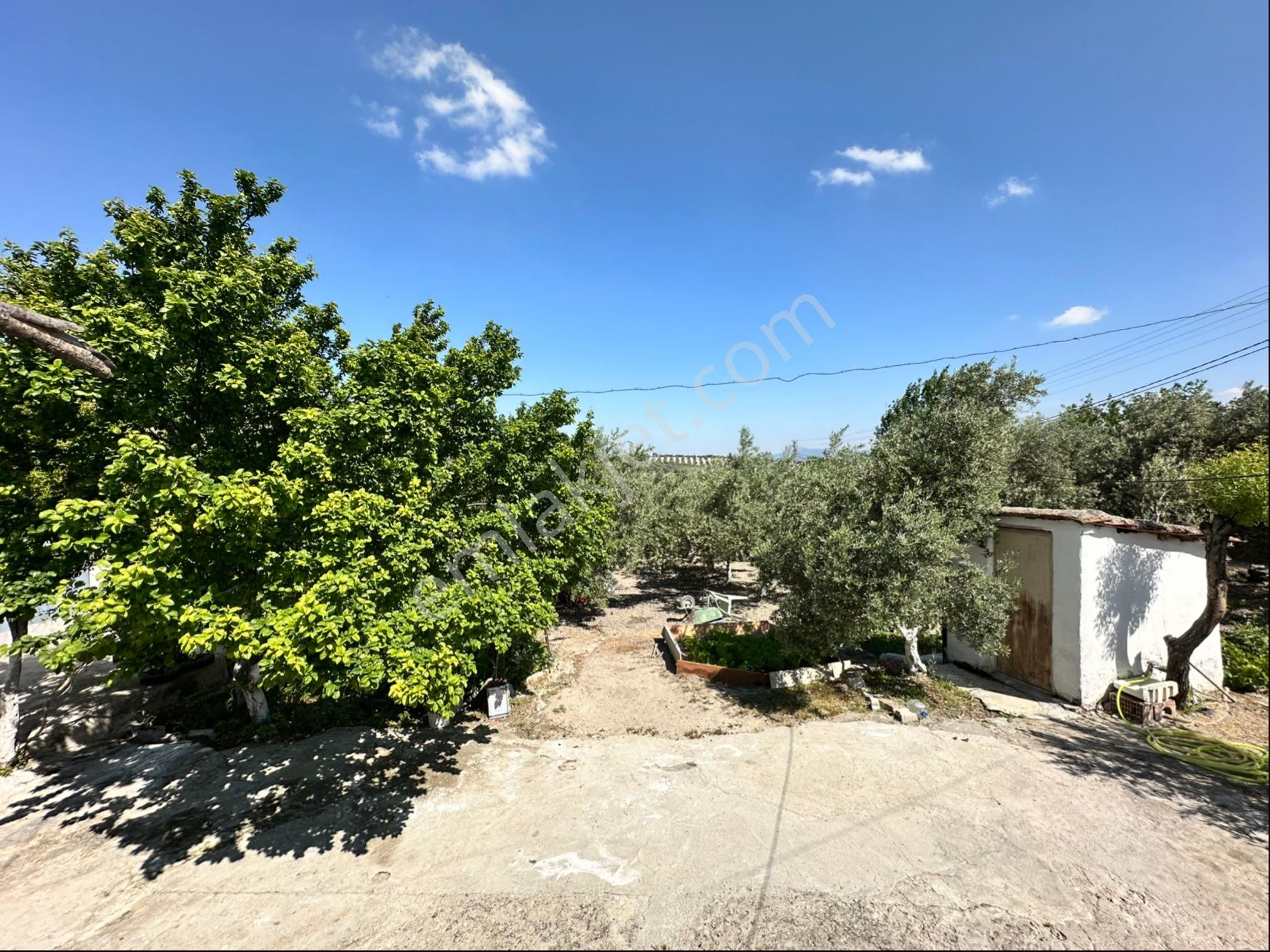 Manisa Saruhanlı Tirkeş Mah.1613m2 Doğa İle İç İçe 2 Tane Evi Bulunan Köy Evi Ve Arsası