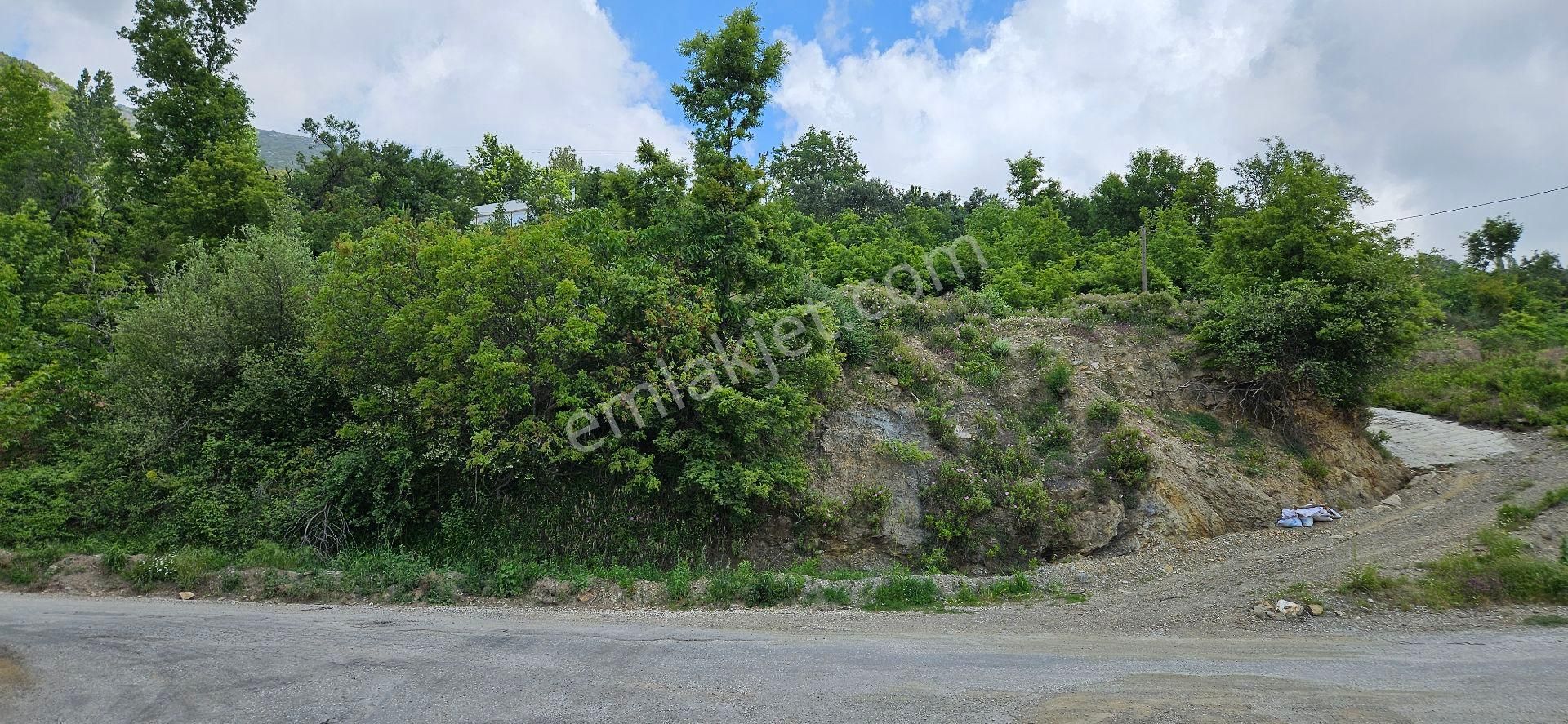 Alanya Bademağacı Full Deniz Manzaralı 2.785 Metre Tarla - Görsel 2