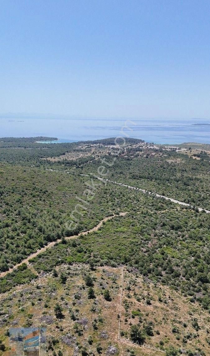 Milas Bozbük'te Denize 1700 Metre Doğayla İç İçe Full Deniz Manzaralı