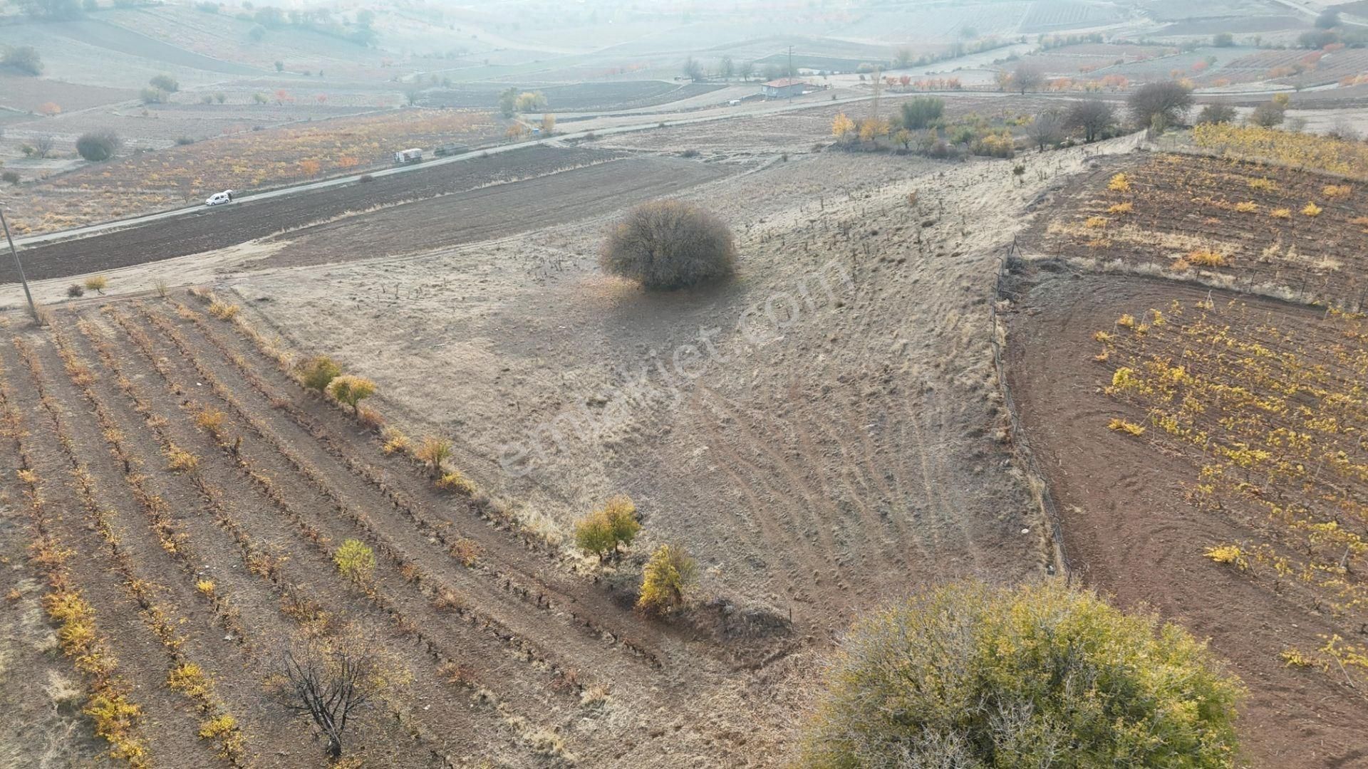 Vadi Emlak'tan Emirseyit (bahçelievler) Satılık Bahçe
