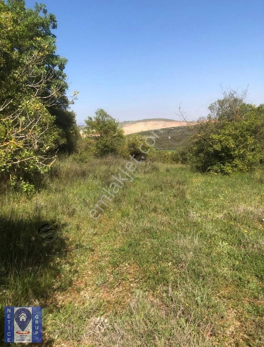 Başköy De İmara Yakın 3.200 M2 Satılık Tarla