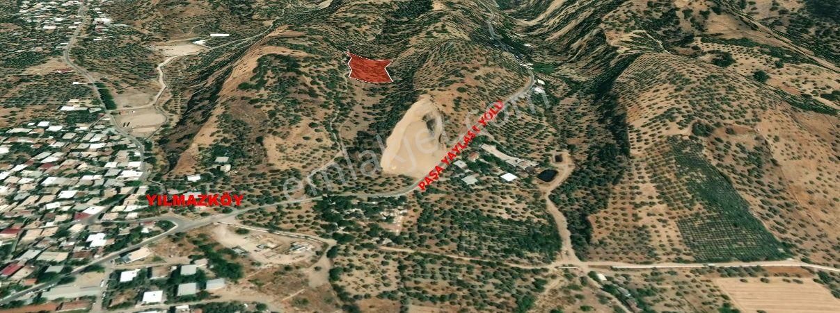Hb'den Satılık Zeytinlik, Yılmazköy'de Muhteşem Konumda Yatırım Fırsatı 7550 M² 70 Anaç Ağaç - Görsel 33