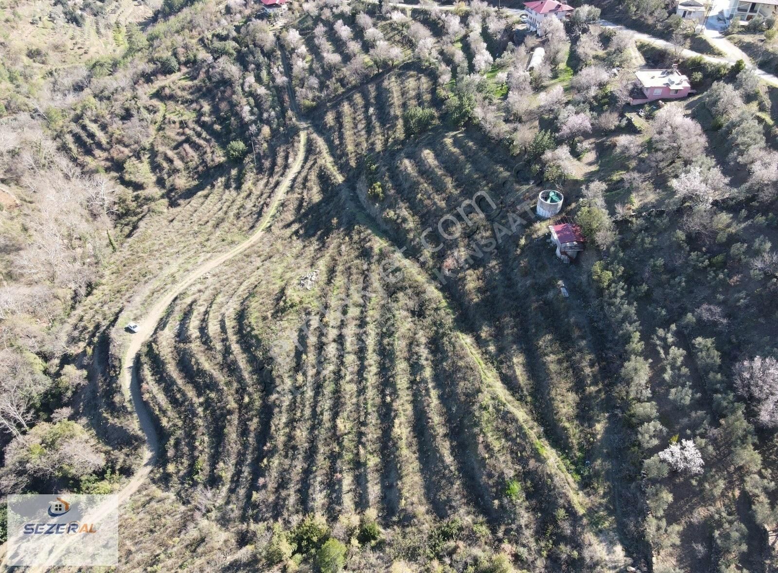 Tarıma Uygun Büyük Parsel Arazi Alanya - Görsel 10