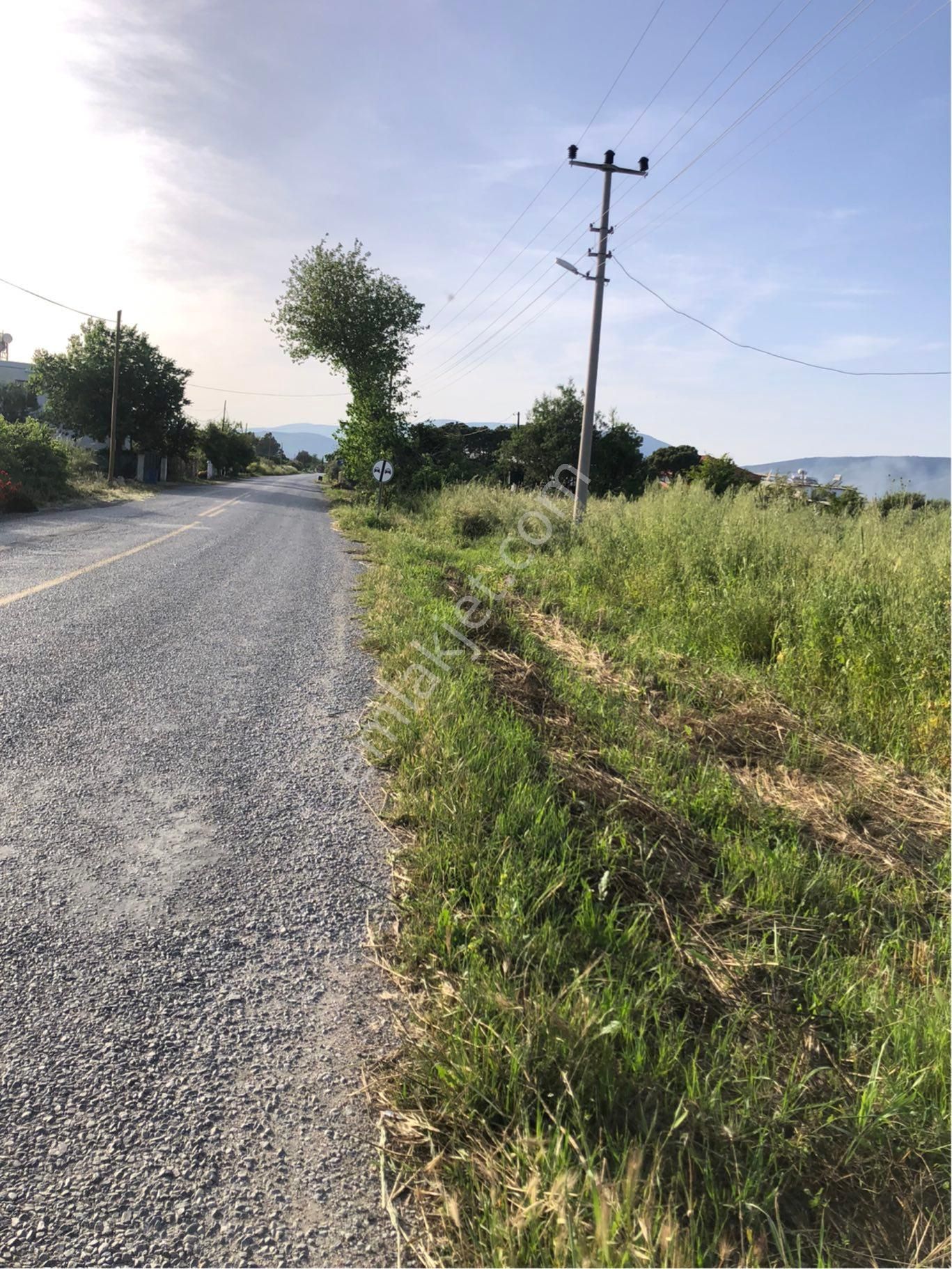 Yola Cepheli Satılık Tarla
