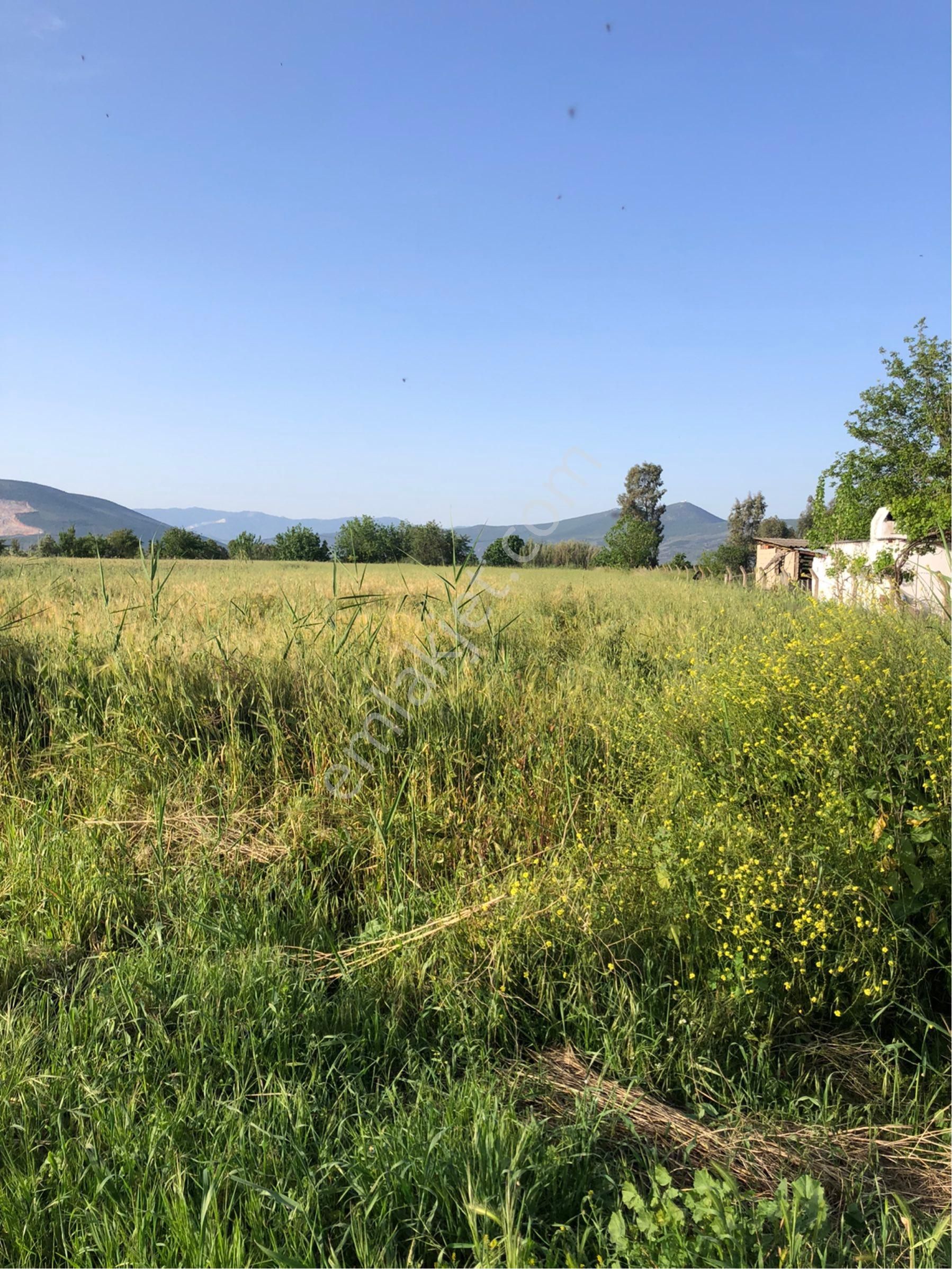 Yola Cepheli Satılık Tarla - Görsel 3