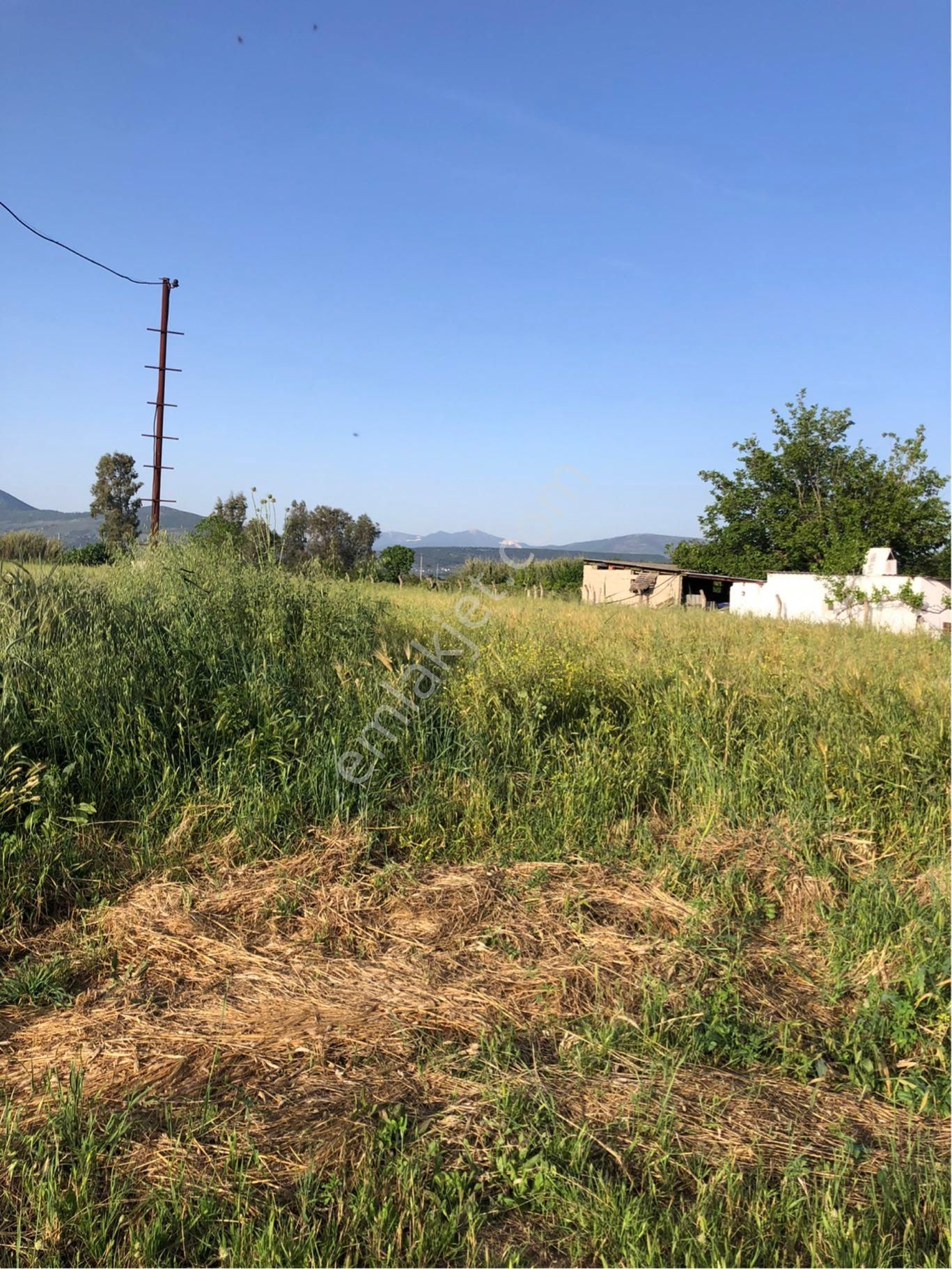 Yola Cepheli Satılık Tarla - Görsel 5