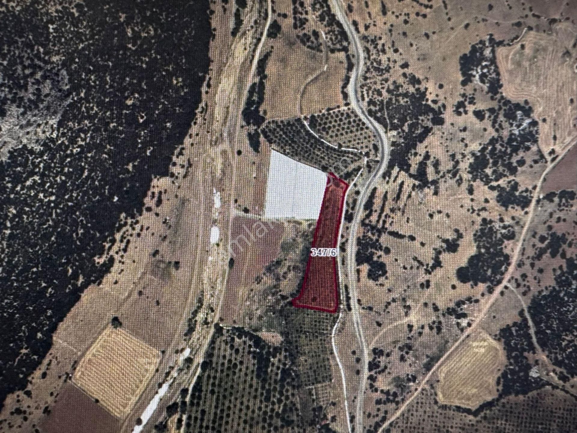 Muğla Seydikemer Seki ' De Satılık 6500 M2 Satılık Tarla Fırsat