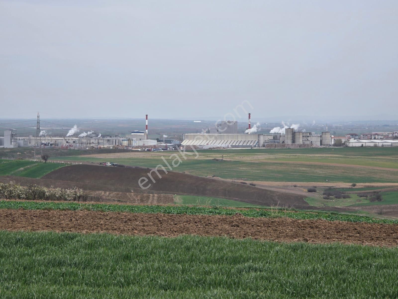 Tekirdağ Ergene Kırkgözde Satılık Uygun Tarladan Hisse