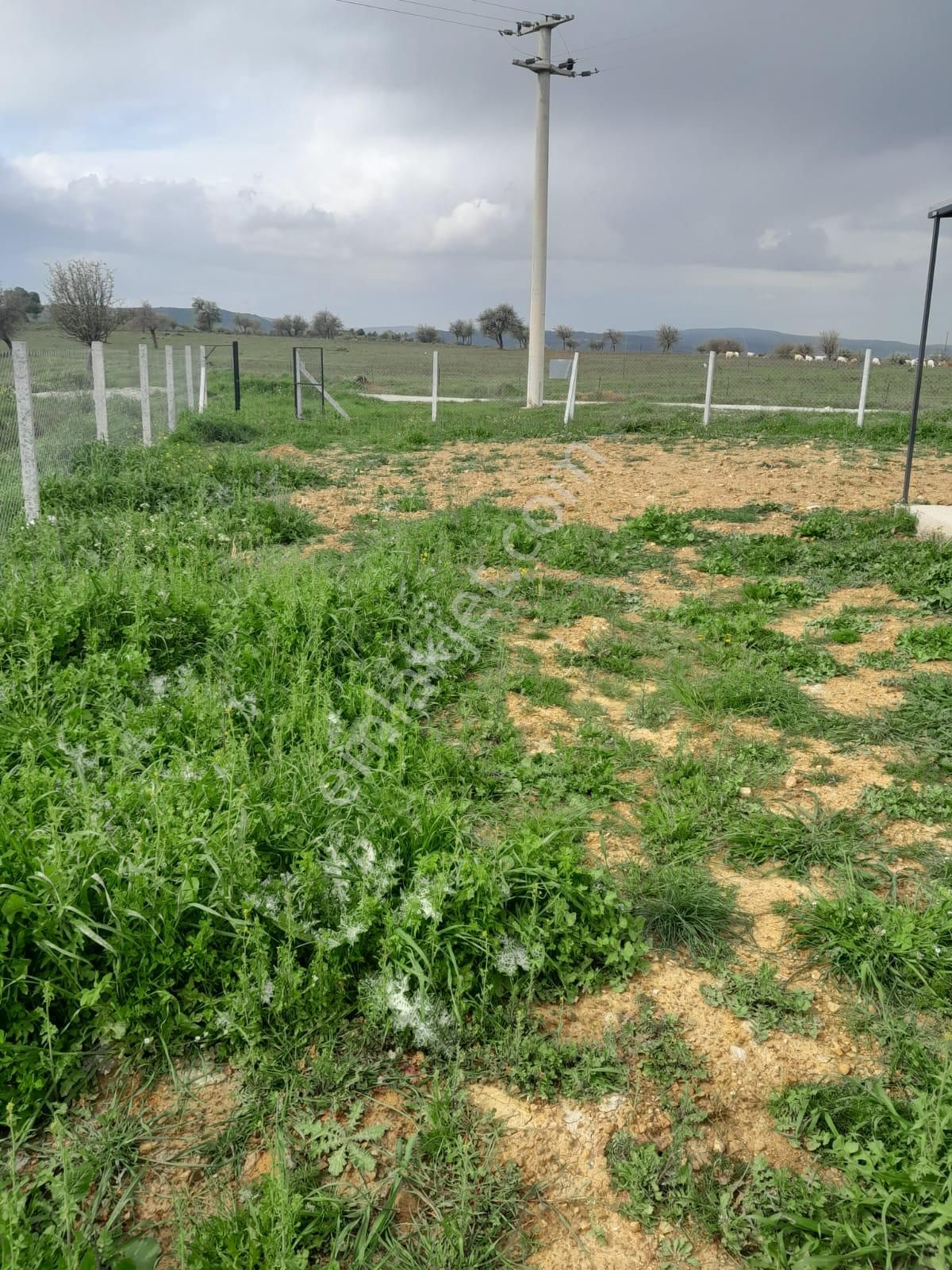 Seferi Hisar Ulamışda 333 M2 Yaren Sitesi Yakın