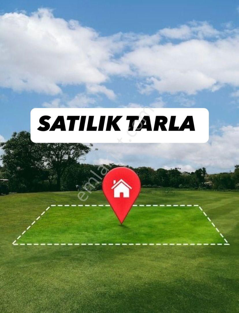 Bilecik Söğüt Oluklu Köyünde Acil Satılık Tarla❗❗ Şendoğan Emlaktan