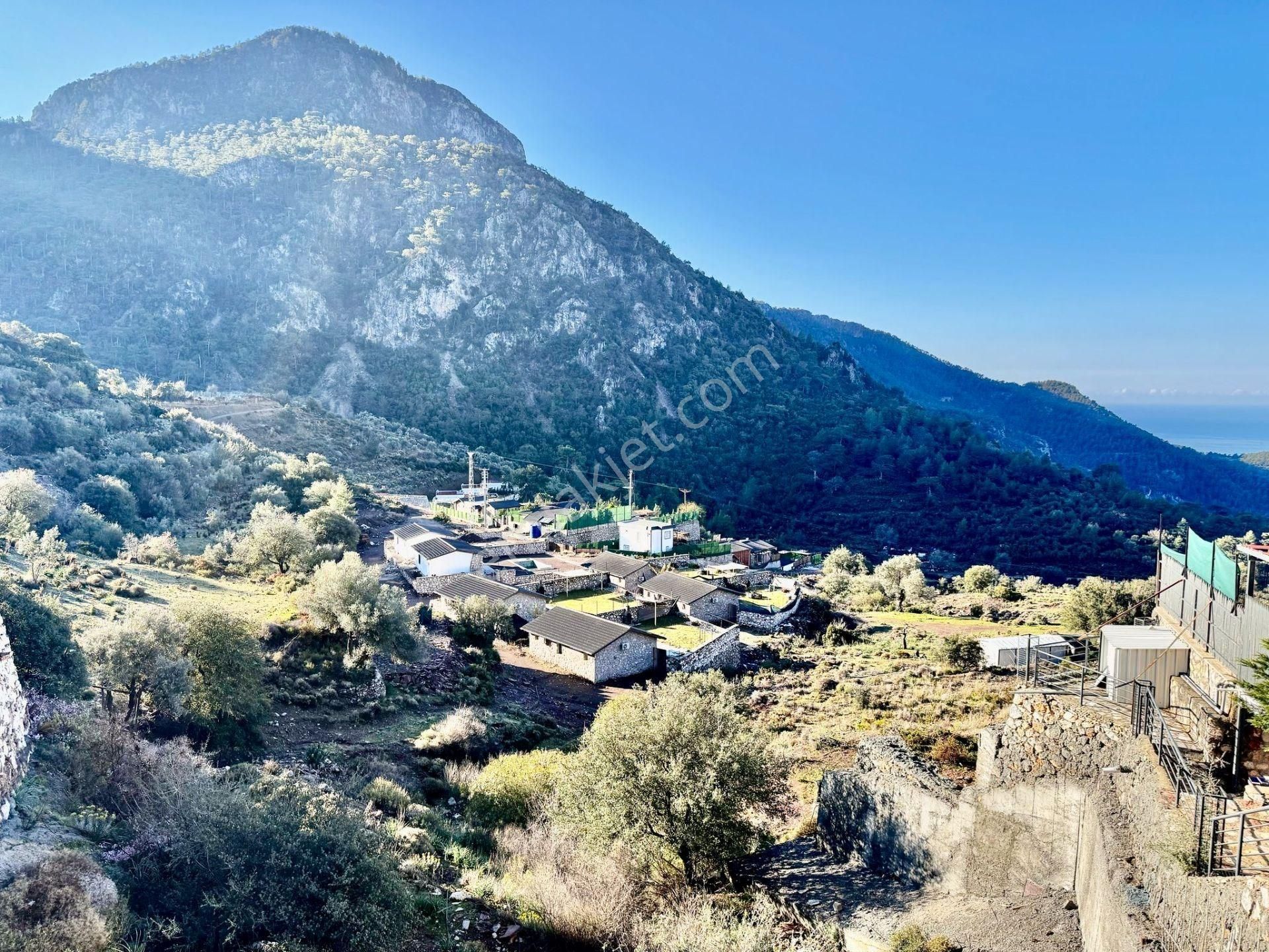 Fethiye Faralya Kirme Mevkiinde Eşsiz Deniz Manzaralı 643 M² Tarla