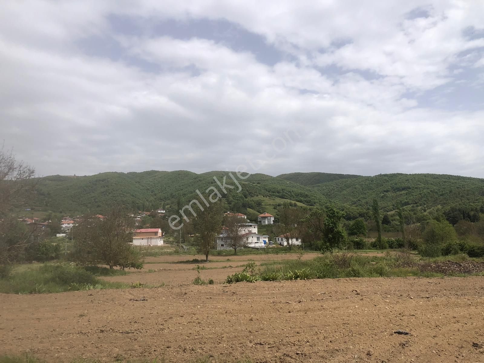 Aydın Nazilli Sarıcaova Köyü