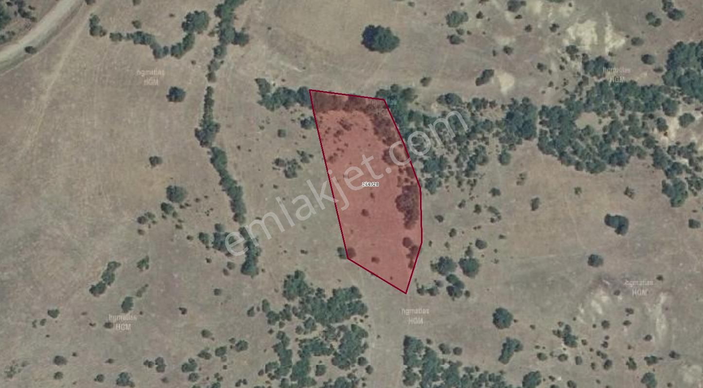 Eko Turizm Agro Turizm Alanına Giren Bölgede Acil Satılık