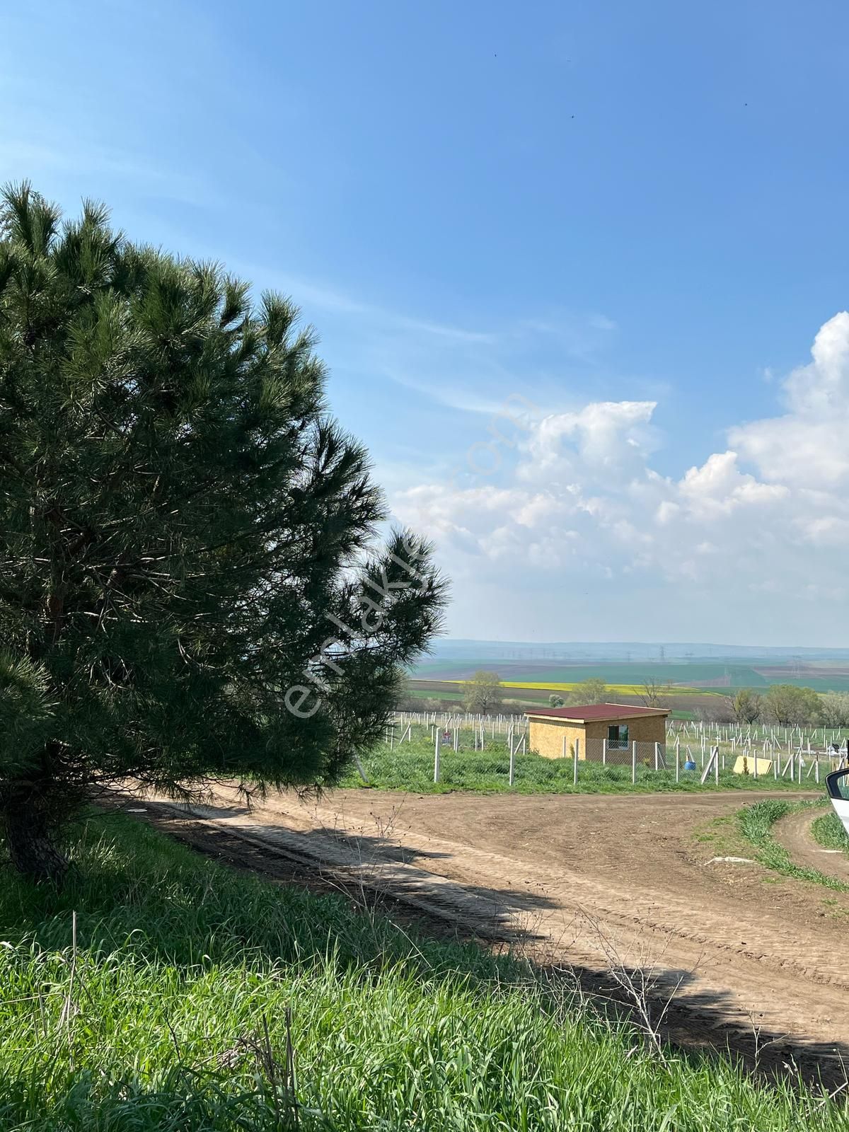 Ereğlinin Merkezi Çeşmelide 403 M2 Etrafı Çevrili Tarla