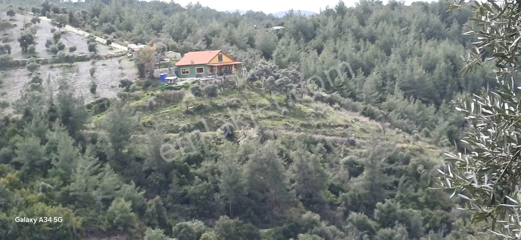 Gökova Körfezini Emsalsiz Cenneti Milas Ören Yakınların Da Satılık Köy Evi - Görsel 12