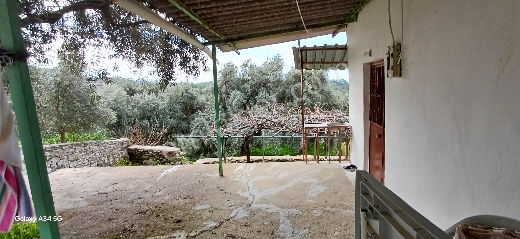 Gökova Körfezini Emsalsiz Cenneti Milas Ören Yakınların Da Satılık Köy Evi - Görsel 8