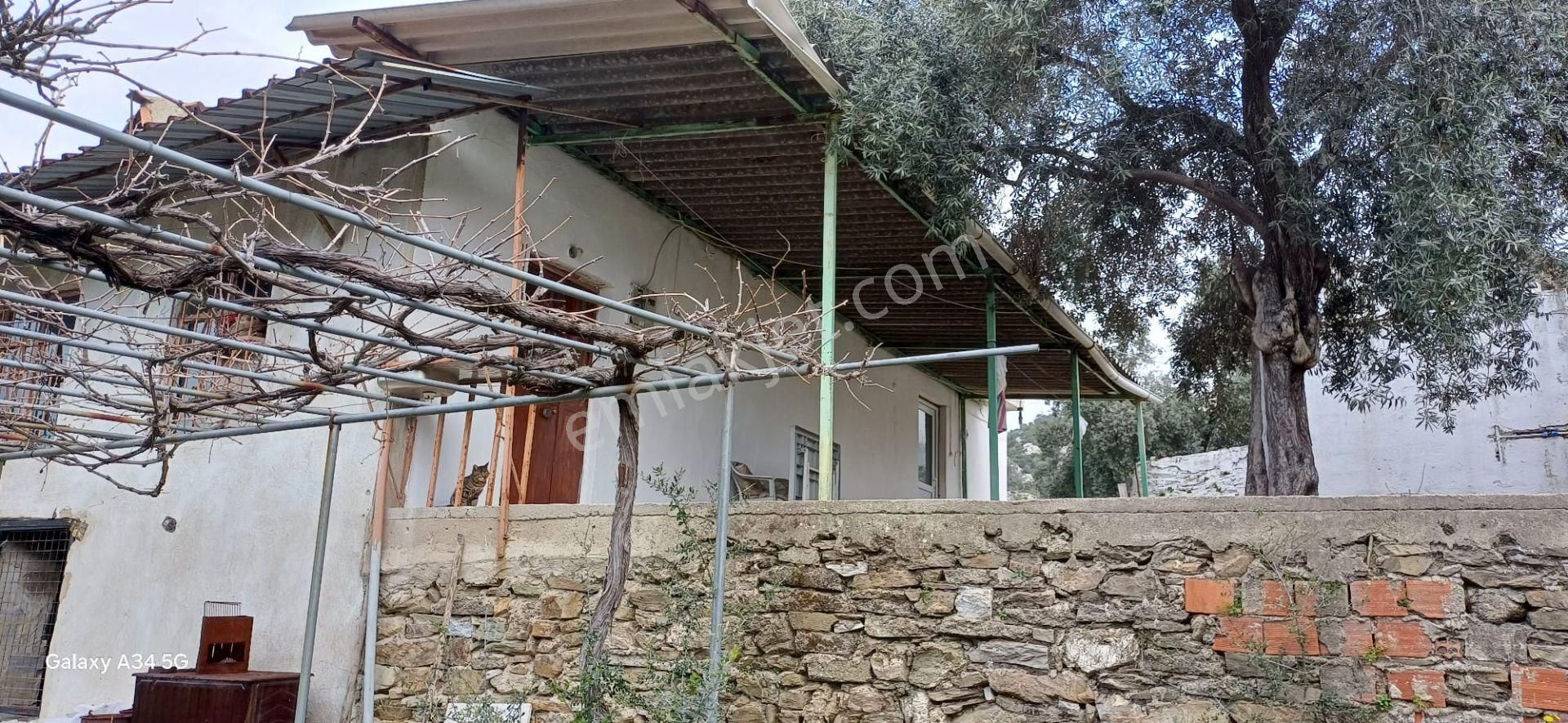 Gökova Körfezini Emsalsiz Cenneti Milas Ören Yakınların Da Satılık Köy Evi - Görsel 22