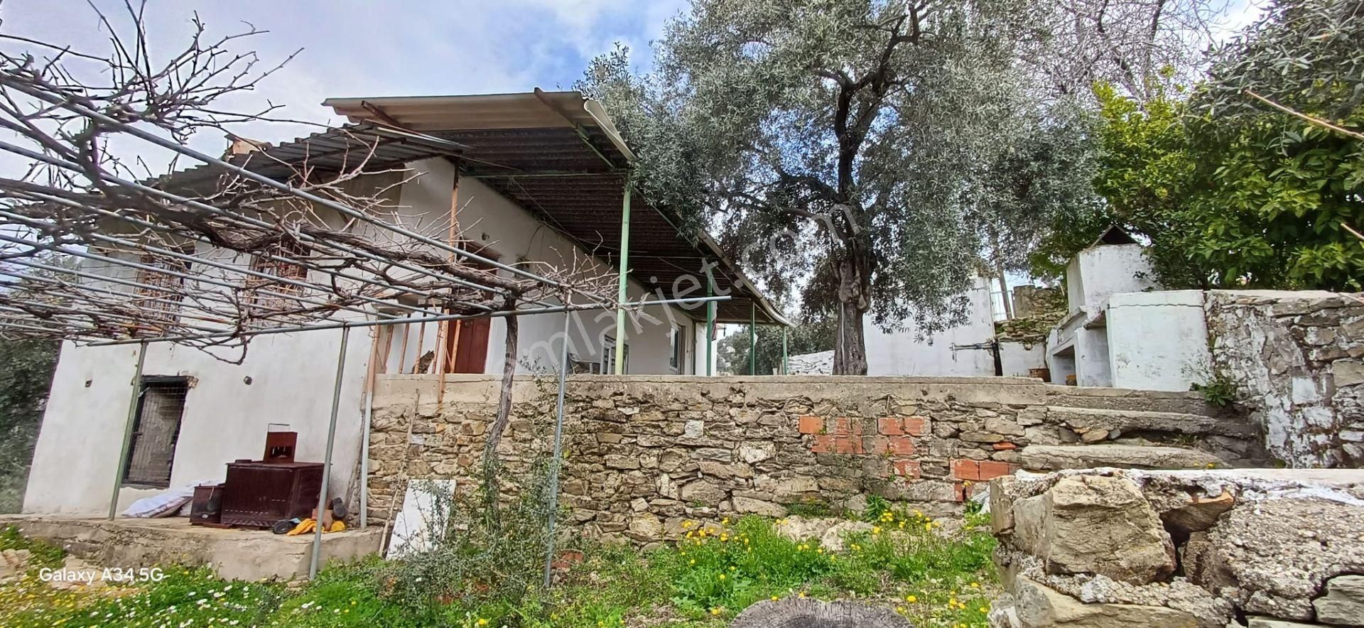 Gökova Körfezini Emsalsiz Cenneti Milas Ören Yakınların Da Satılık Köy Evi - Görsel 10