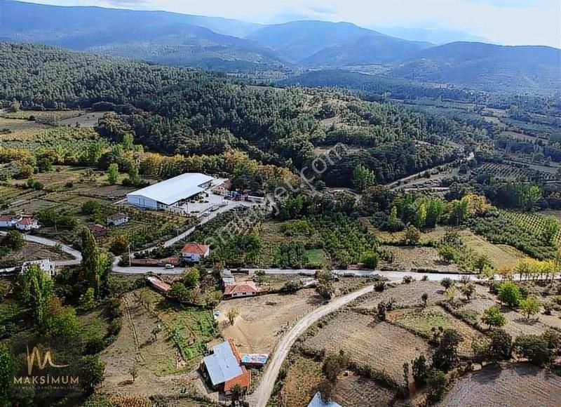 Bayramiç Kazdağlarının Gözde Köyü Karaköyde Konut İmarlı Arsa